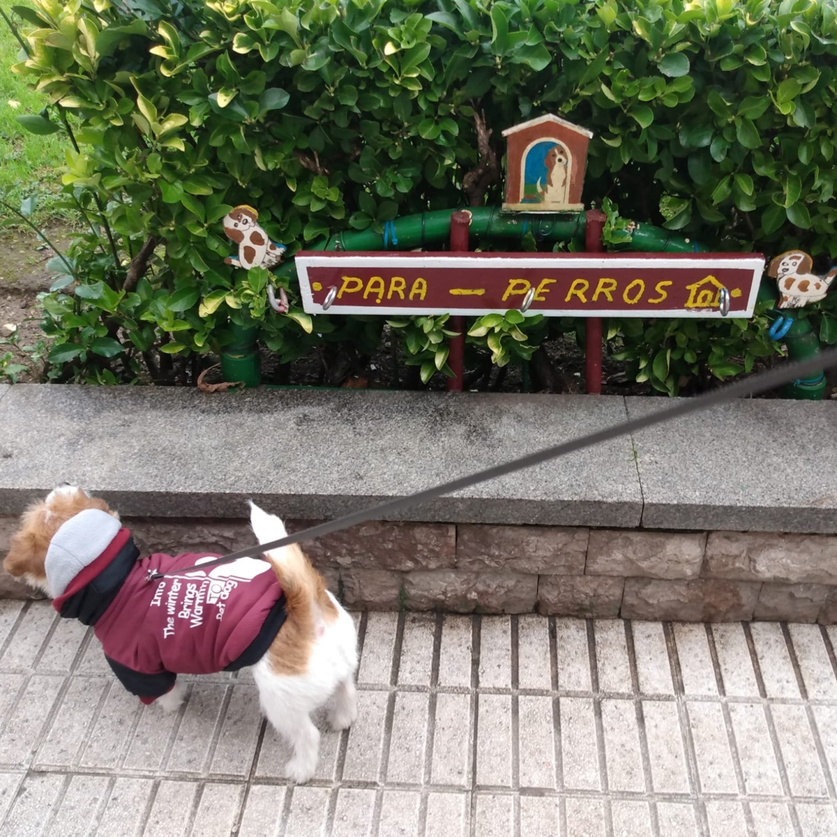 ESTRENANDO LOS REGALOS DE&nbsp;REYES